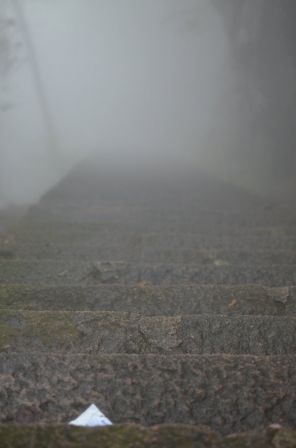 Un escalier descend dans le brouillard